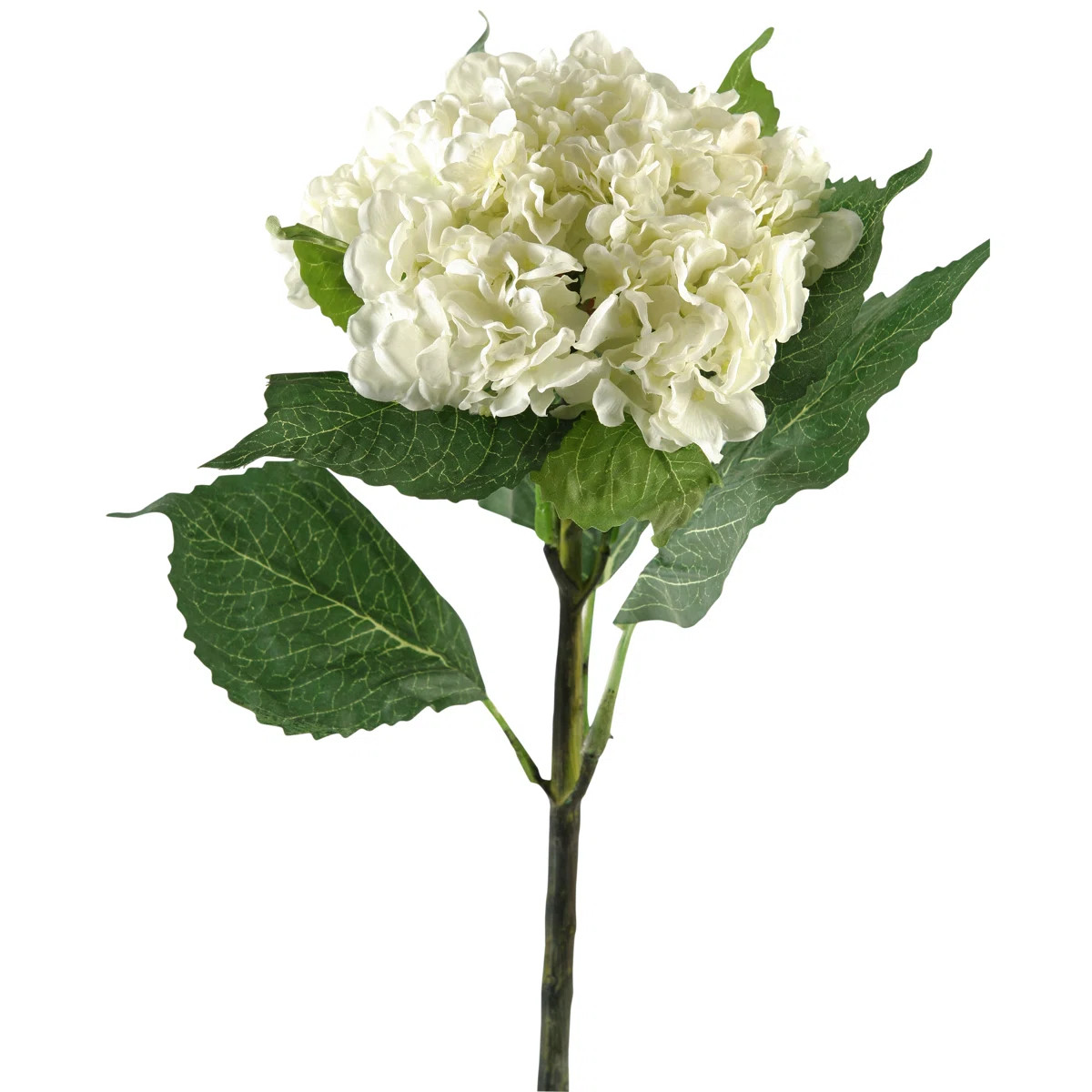 Hydrangea Arrangement (Set of 3) | Wayfair North America