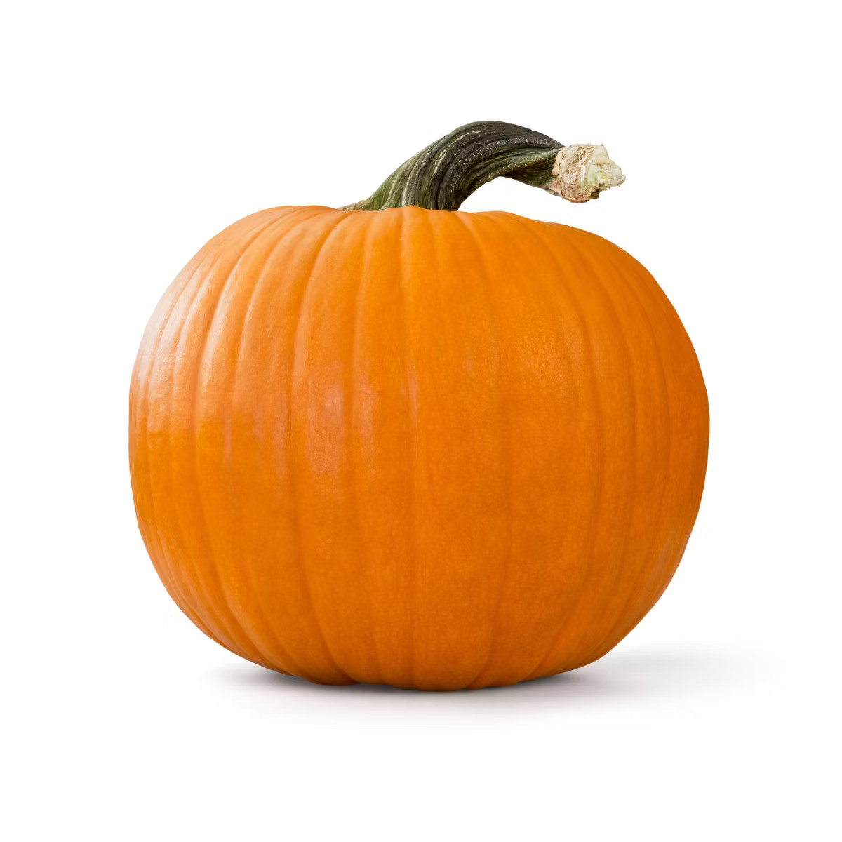 Pie Pumpkin - each | Target