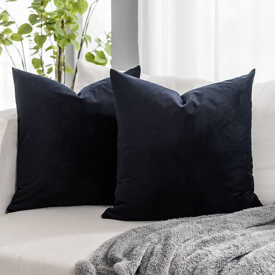 Black Euro Decorative Velvet Throw Pillow Covers 26x26 inch Set of 2 with Zipper Luxury Soft Soli... | Amazon (US)
