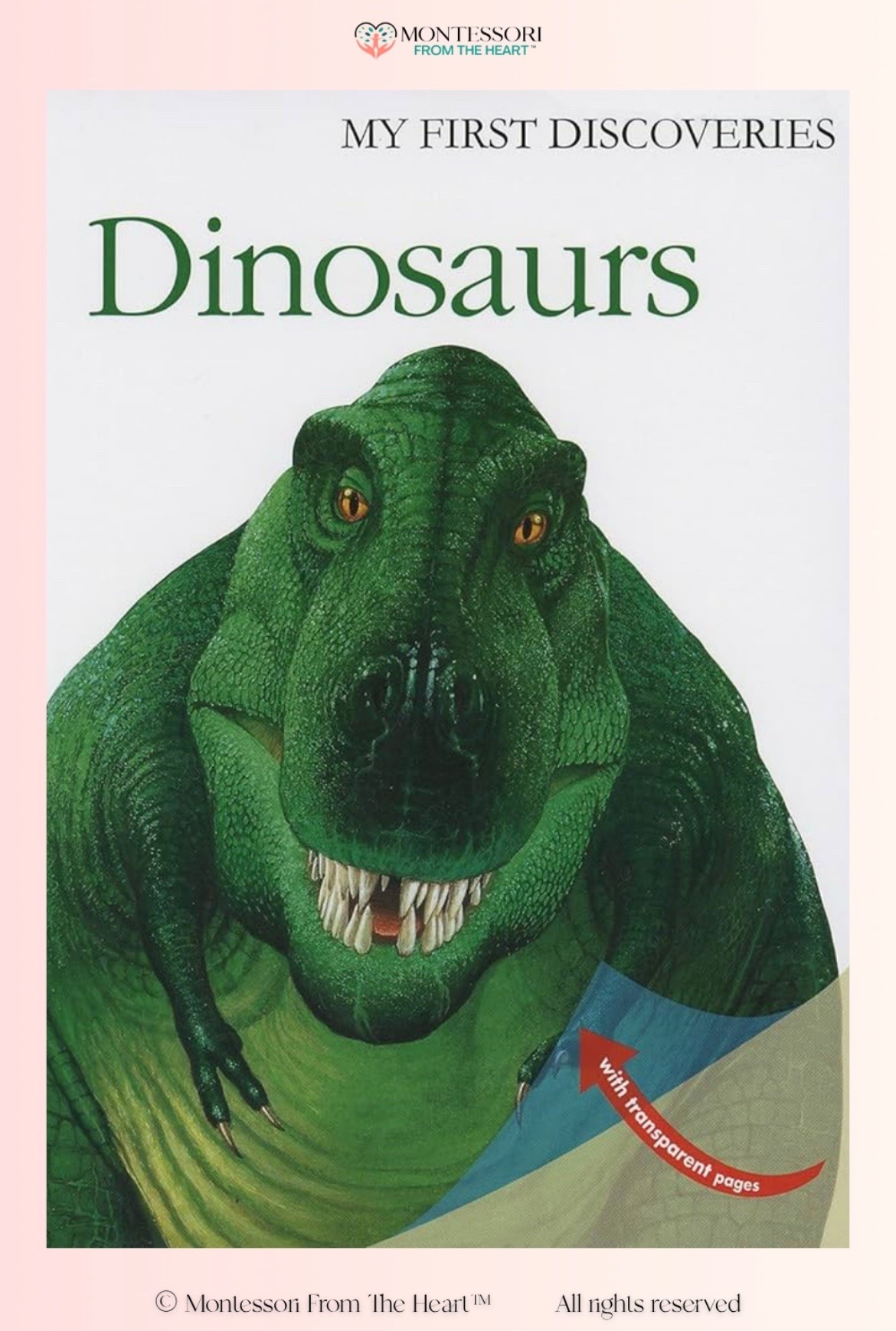 My First Discoveries Dinosaurs ~ Book for Kids

#LTKhome #LTKkids #LTKfamily