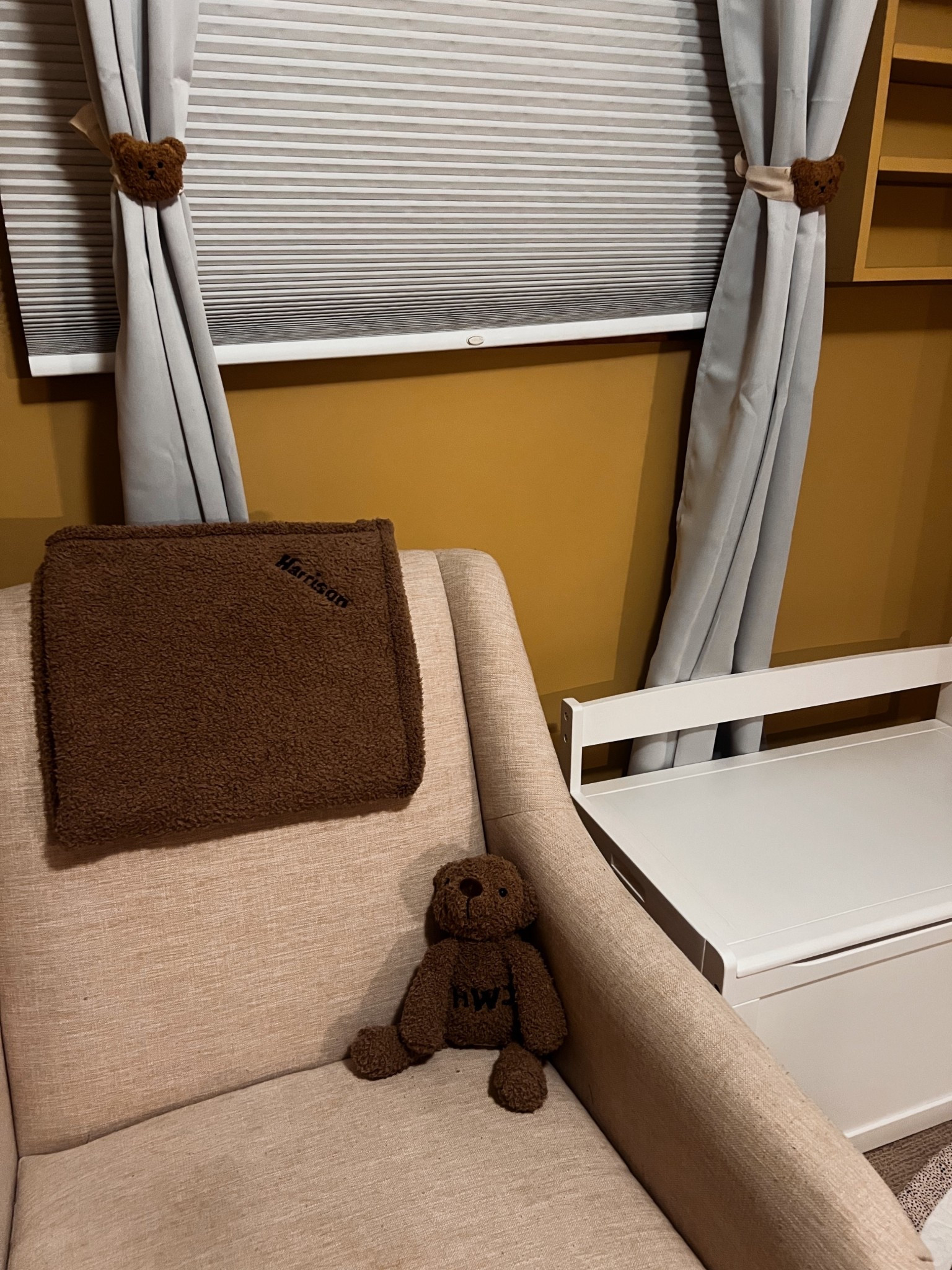 Teddy bear nursery theme. Toy chest. Baby. Maternity Amazon. Target 

#LTKBump #LTKmomlife #LTKBaby