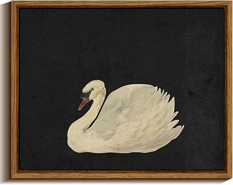 VIYYIEA Framed Wall Decorations Vintage Canvas Wall Art, Grace Swan Art Painting Pictures Rustic ... | Amazon (US)