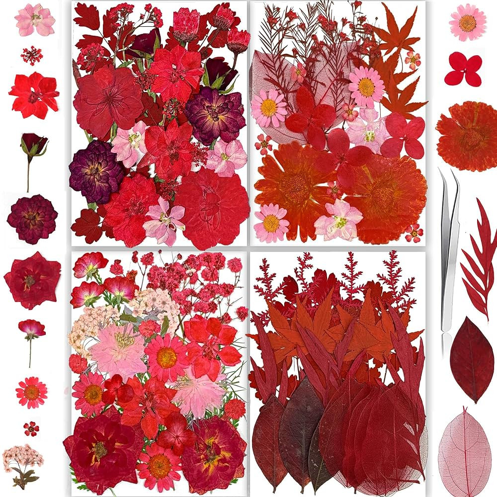 150PCS Red Dried Pressed Flowers with Butterfly Stickers - YouthBro Real Nature Flowers Herb Set ... | Amazon (US)
