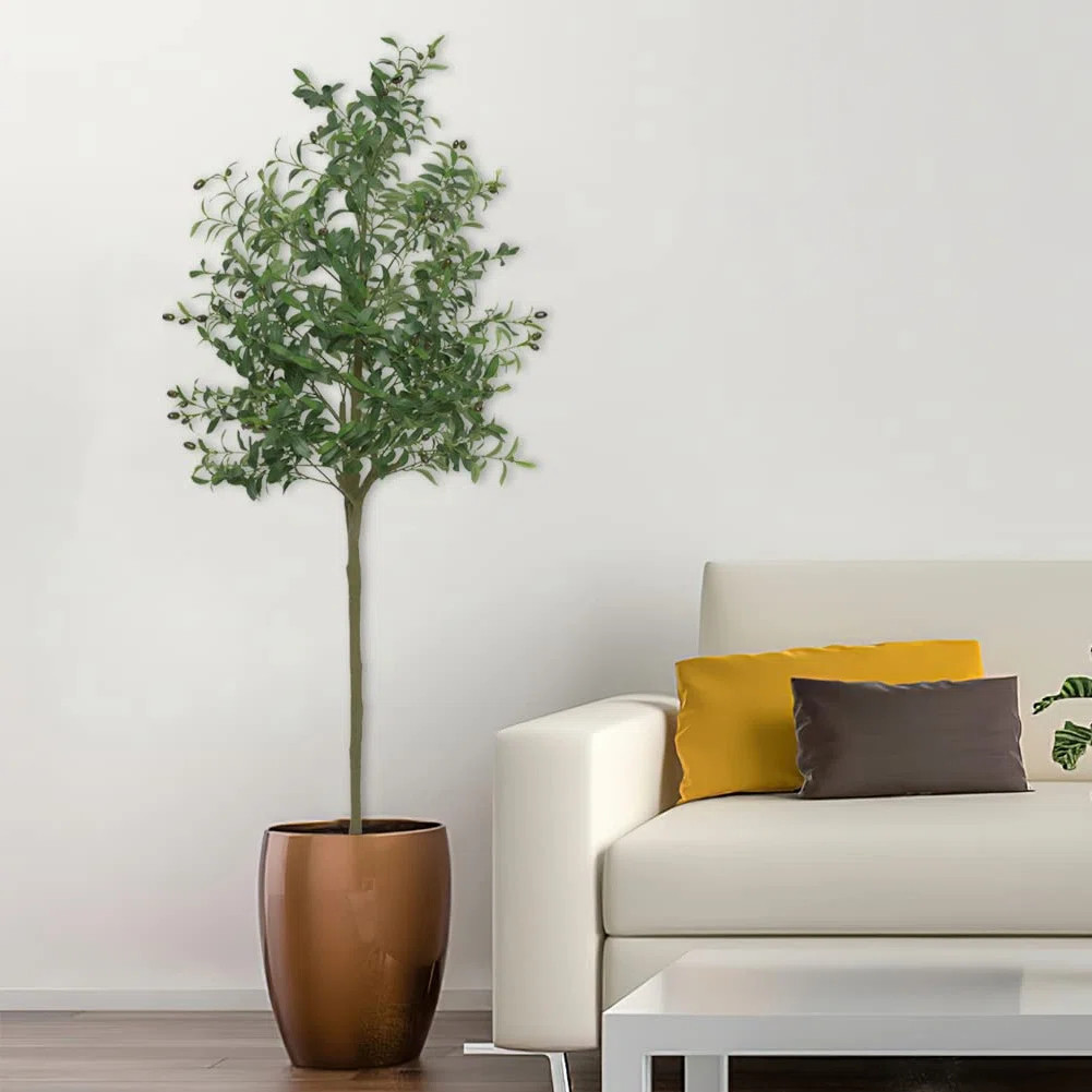 Primrue Olive Tree Tree in Pot (without White pot） & Reviews | Wayfair | Wayfair North America