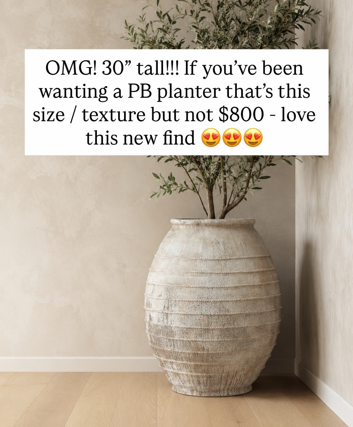 OMG! 30” tall!!! If you’ve been wanting a PB planter that’s this size / texture but not $800 - love this new find 😍😍😍