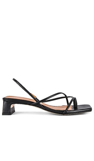 Freya Sandal in Black | Revolve Clothing (Global)