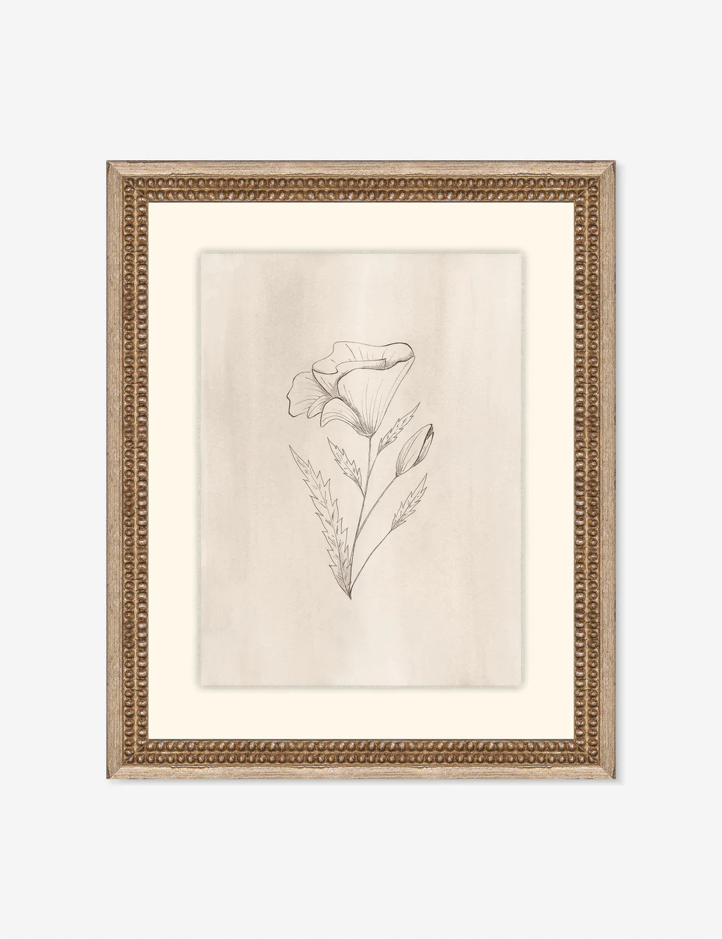 Elegant Botanical III Wall Art by Makai Howell | Lulu and Georgia 