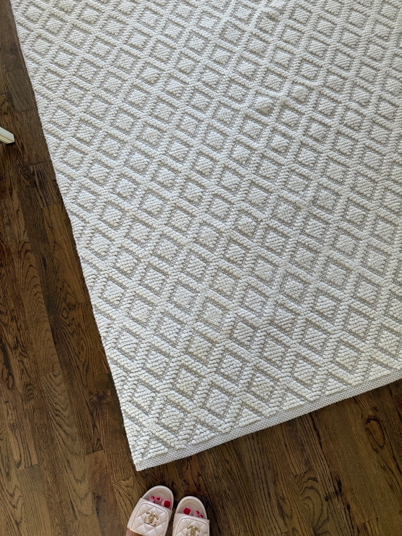 back house rug for the living room!