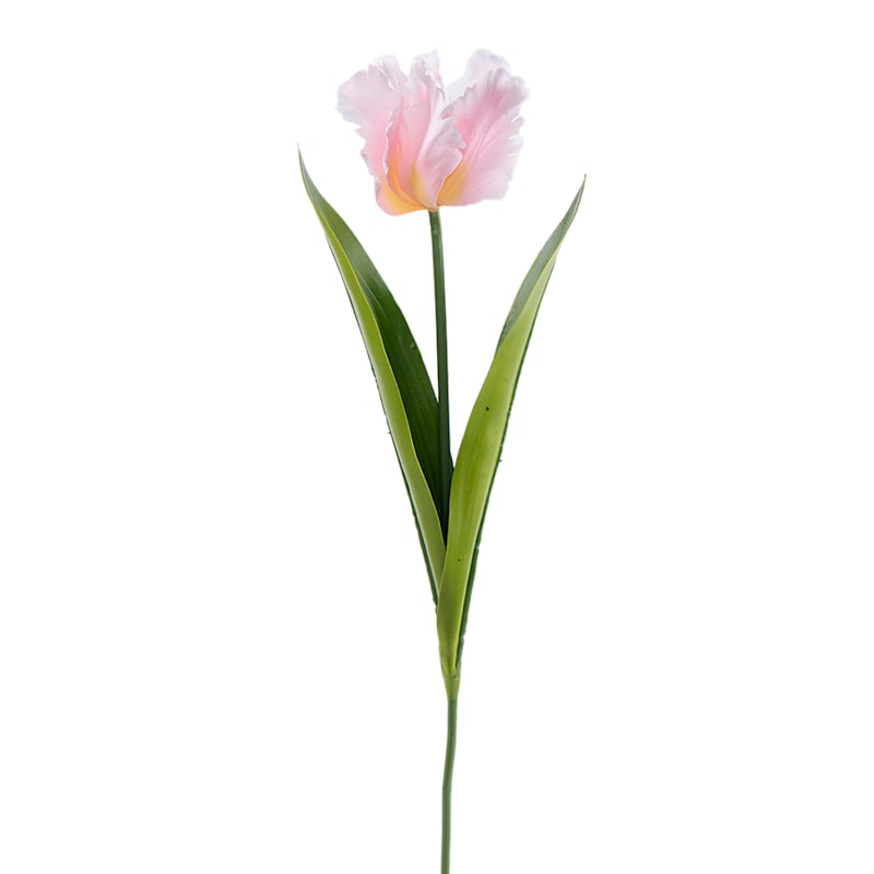 Willow Crossley Light Pink Parrot Tulip Floral Stem, 23.5" | At Home