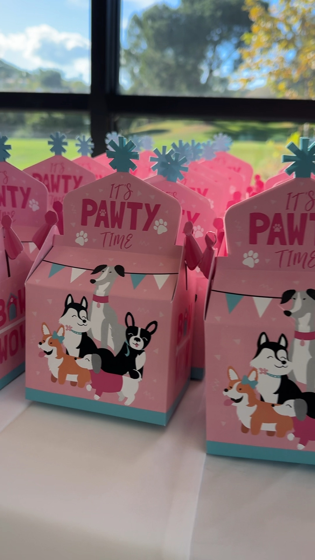 party favor boxes

#LTKparties #LTKkids #LTKGiftGuide
