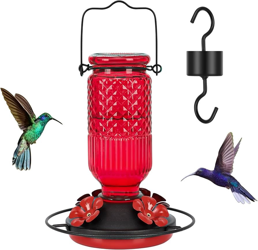 FEED GARDEN Glass Hummingbird Feeder for Outdoors Hanging, 16 OZ Humming Birds Feeders with 4 Bee... | Amazon (US)