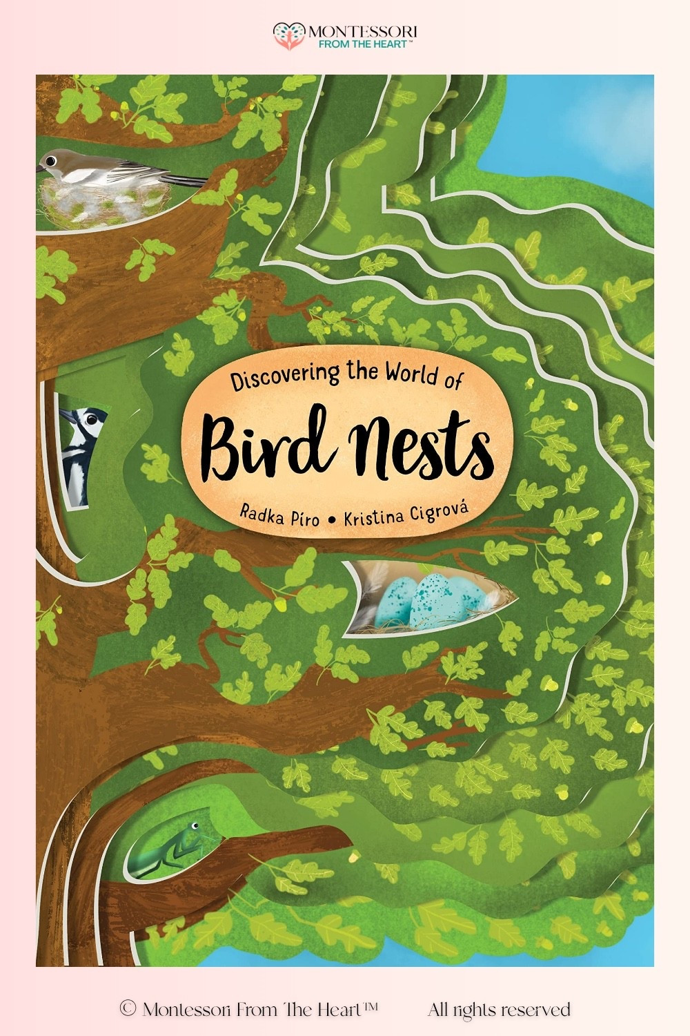 Discovering the World of Birds Nests Book for Kids 

#LTKKids #LTKstorytime #LTKHome