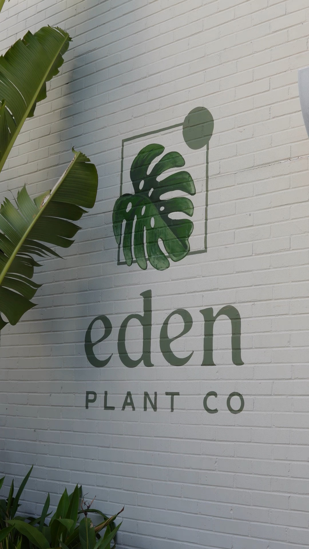 Eden ☕️🌱
-
#coffee #study #vlog #dayinthelife

#LTKVideo #LTKmens #LTKSeasonal