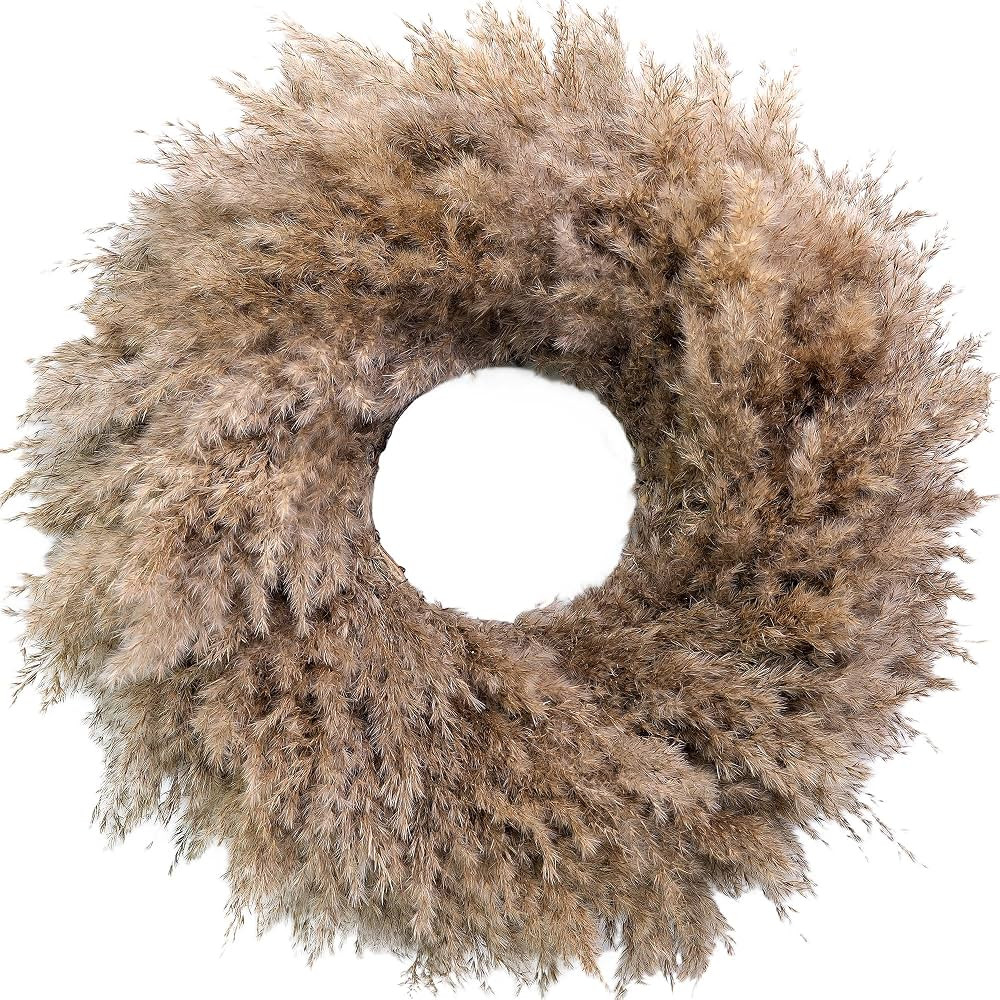 Natural Pampas Grass Wreath, 20'' Real Pampas Wreath for Front Door, Boho Wall Decor, Farmhouse S... | Amazon (US)