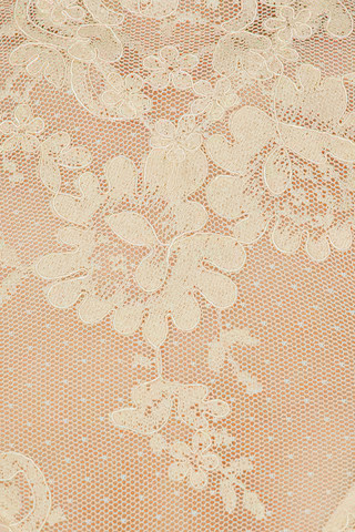 Hypnotic Lace Bodice Top | FWRD 