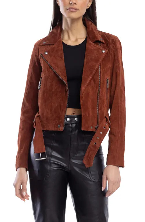 BLANKNYC Suede Moto Jacket in Sun Valley at Nordstrom, Size X-Large | Nordstrom
