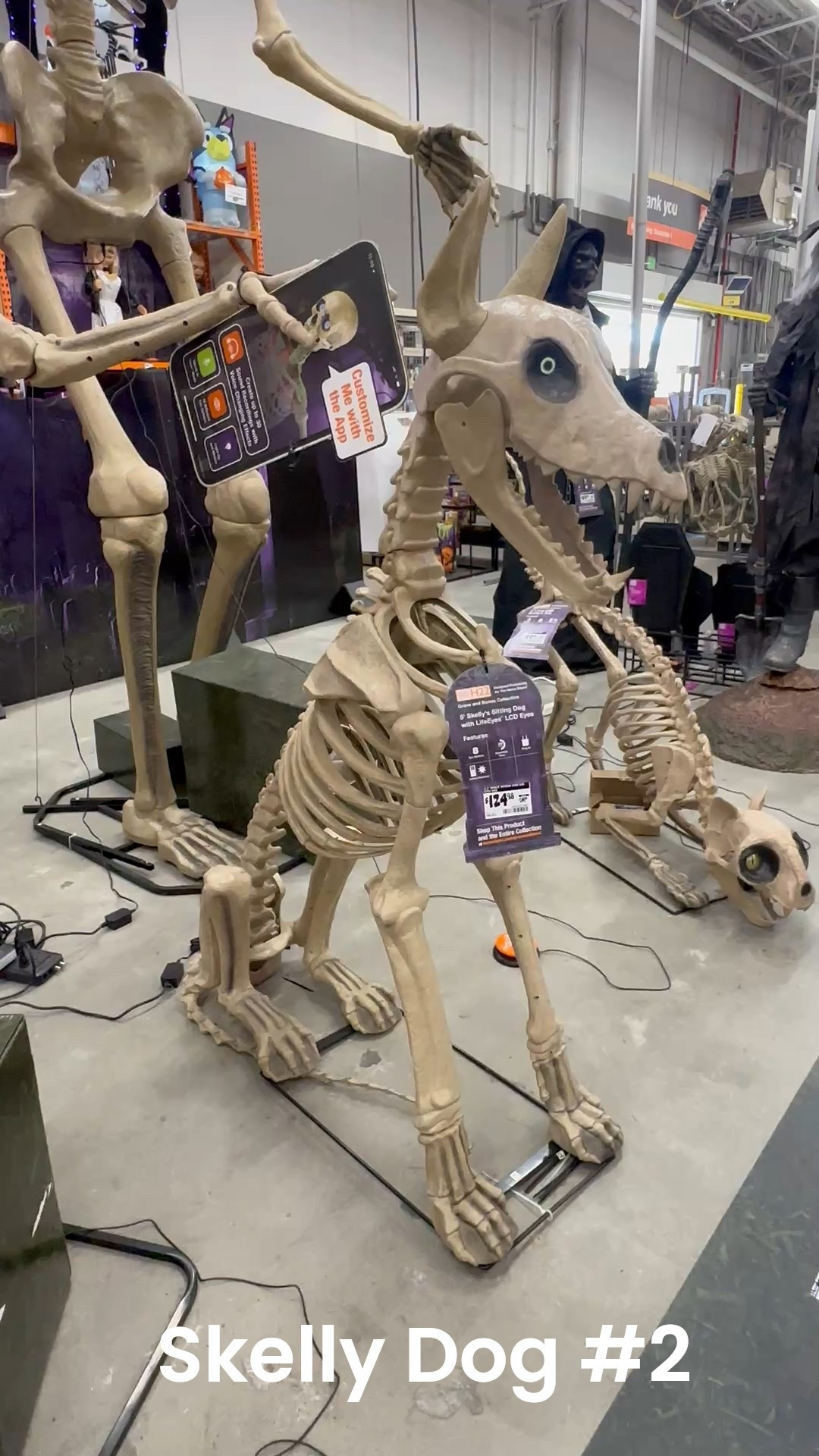 The original skelly dog has a new friend to adopt! Bring him home with you today!  He’s on sale!

#LTKSeasonal #LTKSaleAlert #LTKHalloween