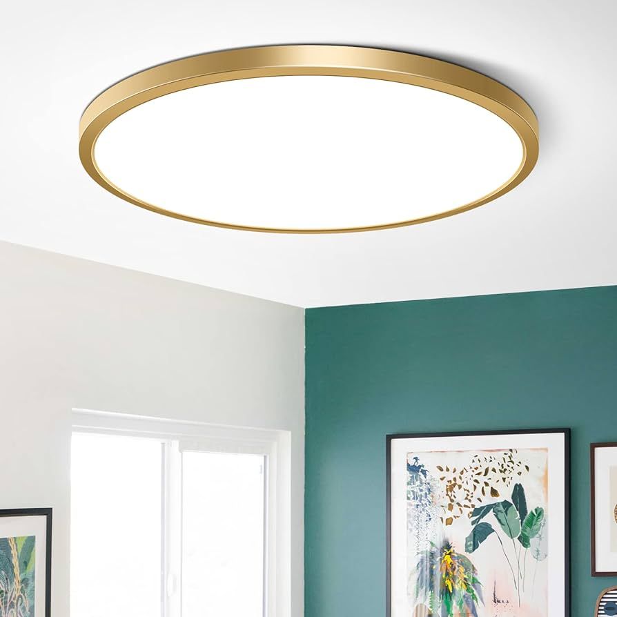 15.7Inch LED Ceiling Light Fixture Flush Mount, 32W(320W Equivalent), 3800LM, 5000K Daylight Whit... | Amazon (US)