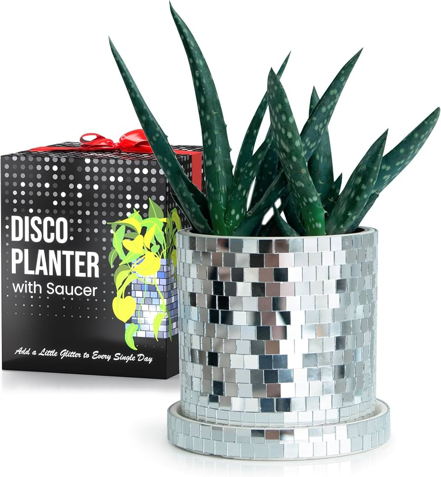 SCANDINORDICA Disco Ball Planter Pot - 4.3 inch Disco Ball Vase, Disco Planter, Ceramic Planter P... | Amazon (US)