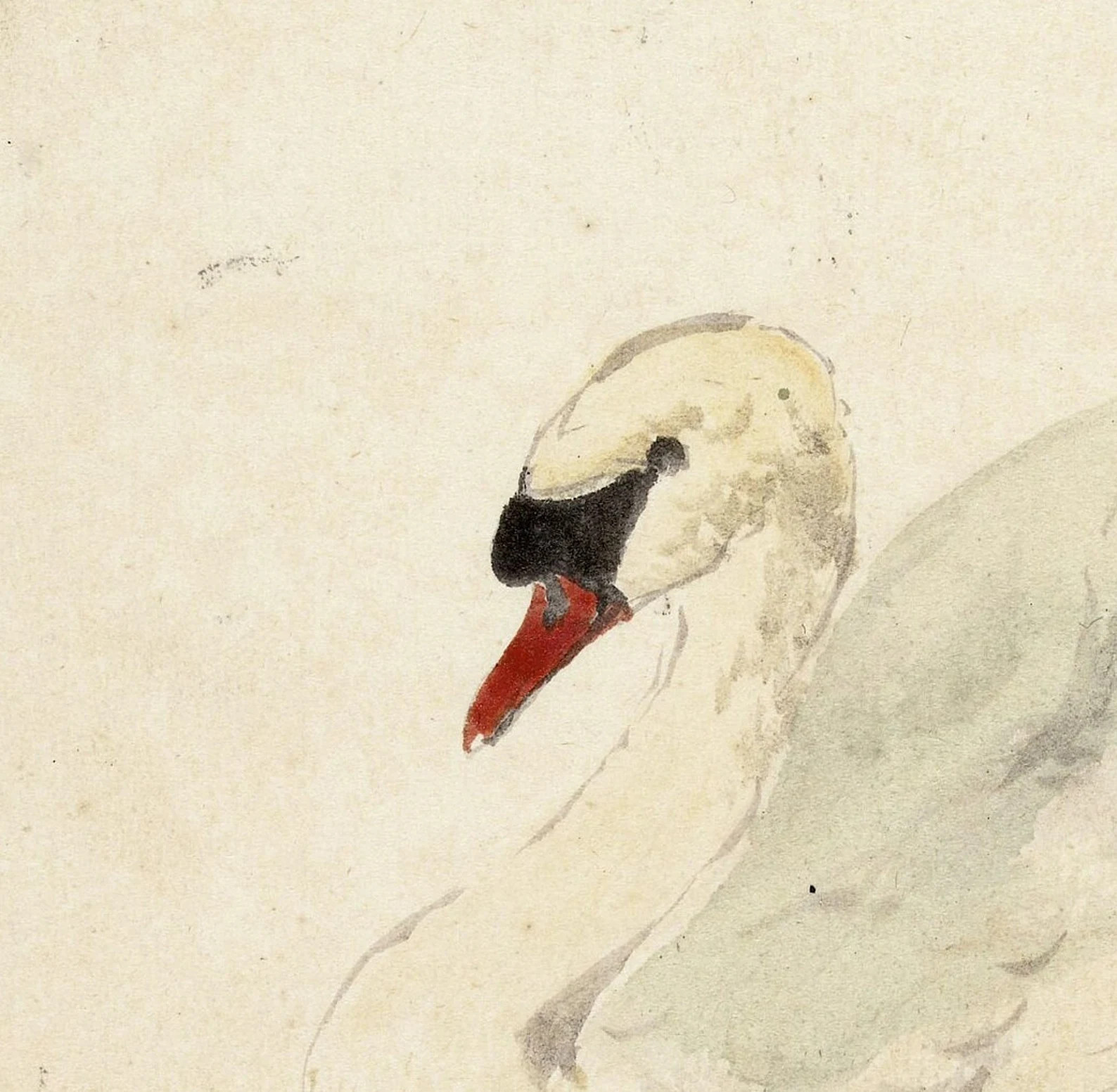 White Swan Vintage Painting -- PRINTABLE DIGITAL DOWNLOAD French Country Wall Art, Vintage Print,... | Etsy (US)