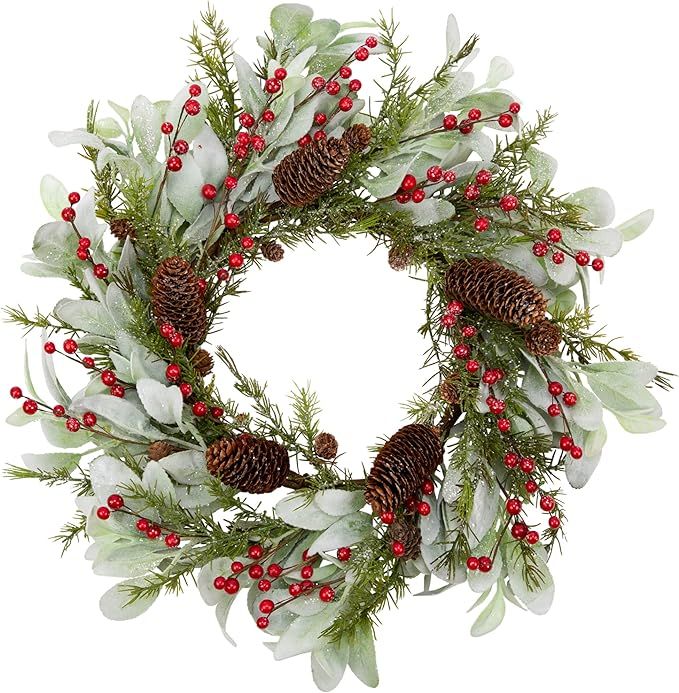 Skrantun 20 Inch Artificial Christmas Wreath for Front Door Winter Wreath with Lambs Ear Leaves a... | Amazon (US)