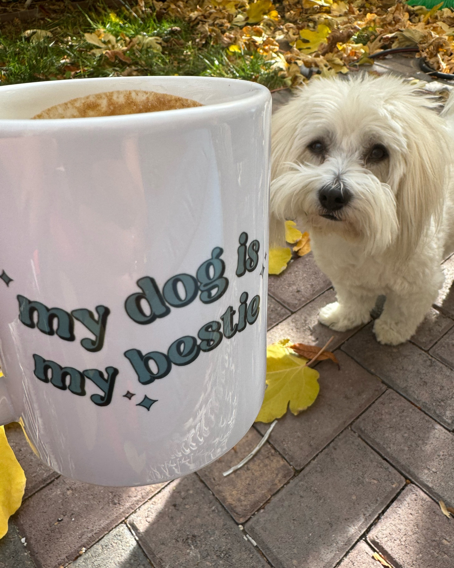 Mom’s favorite cup. Wondering why 😉
#LTKPets #LTKdogs #Dogmommug #mug #dogloversmug

#LTKHoliday #LTKSeasonal #LTKGiftGuide