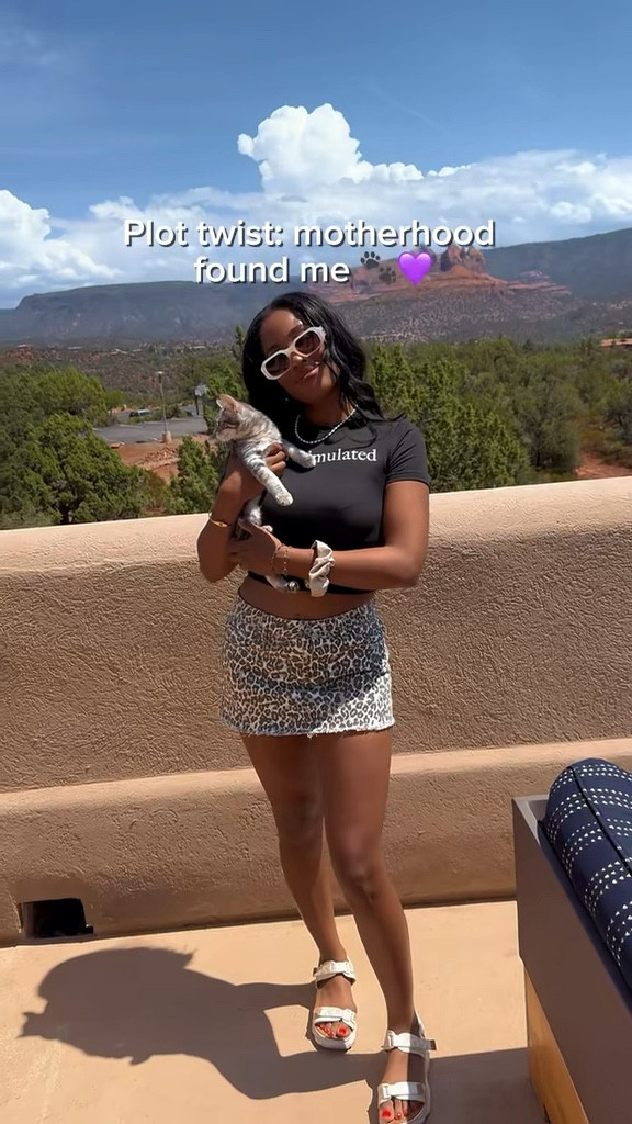 I’m a cat mom now!😍🩷

#LTKPets #LTKTravel #LTKFindsUnder50