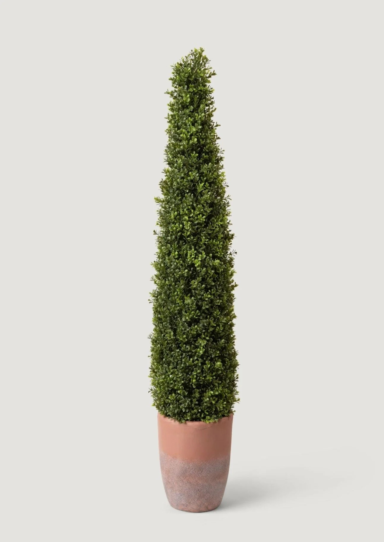 Faux Boxwood | Topiary in Terra Cotta Pot | Afloral | Afloral