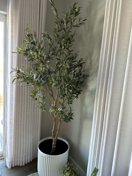 Olive tree on sale on Amazon!

#LTKsalealert #LTKhome #LTKfindsunder100