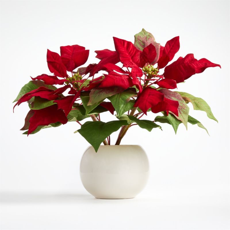 Artificial Red Potted Poinsettia | Crate and Barrel | Crate & Barrel