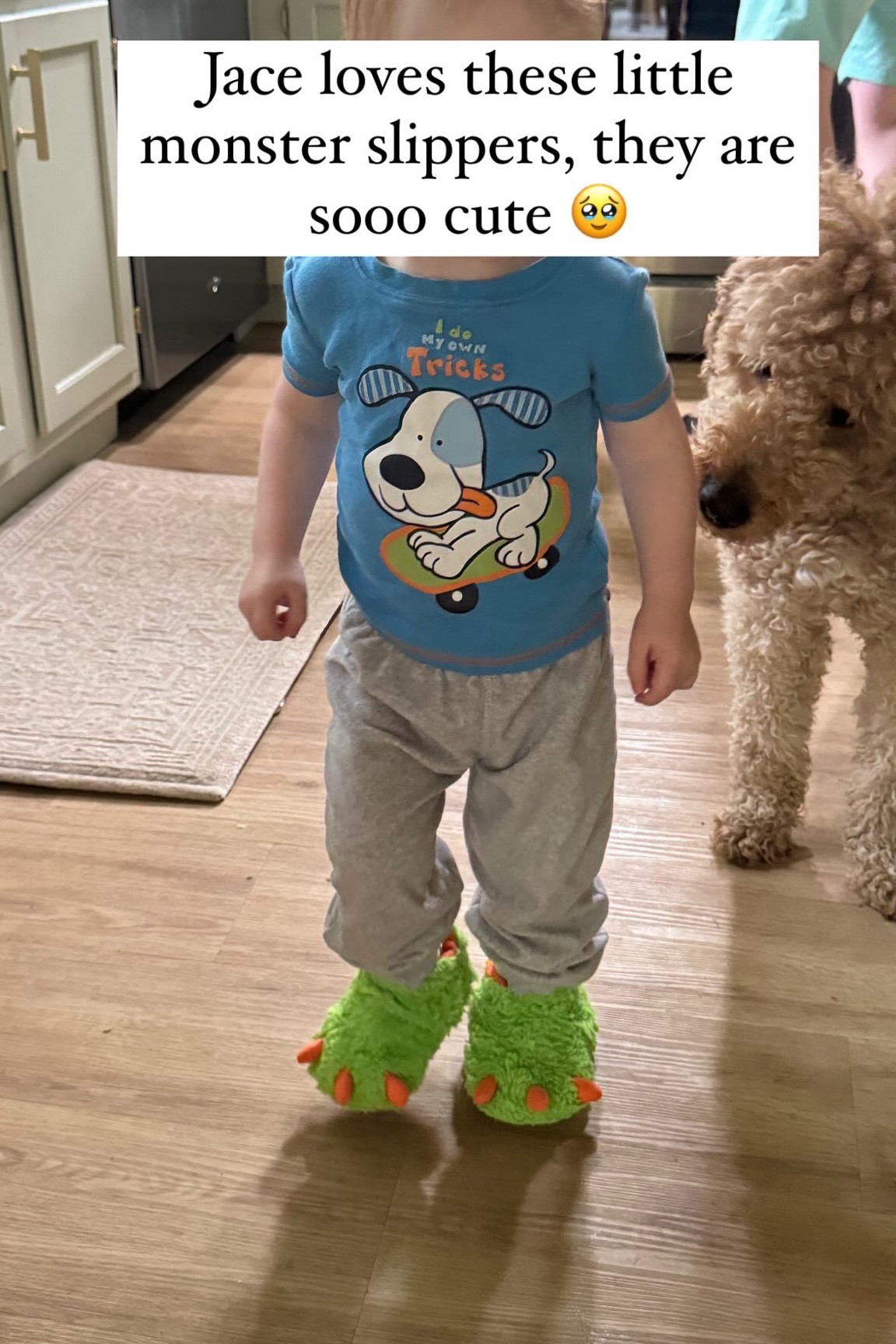 We got these green and orange toddler slippers as a gift, so I’m not sure where they are from! But I found ones from Walmart that look similar! They are soooo cute and our son loves them!! 

#LTKStyleTip #LTKBaby #LTKKids