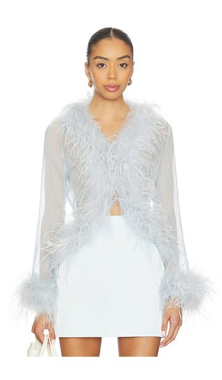 Bubish Gigi Sheer Feather Blouse in Baby Blue. - size M | Revolve Clothing (Global)