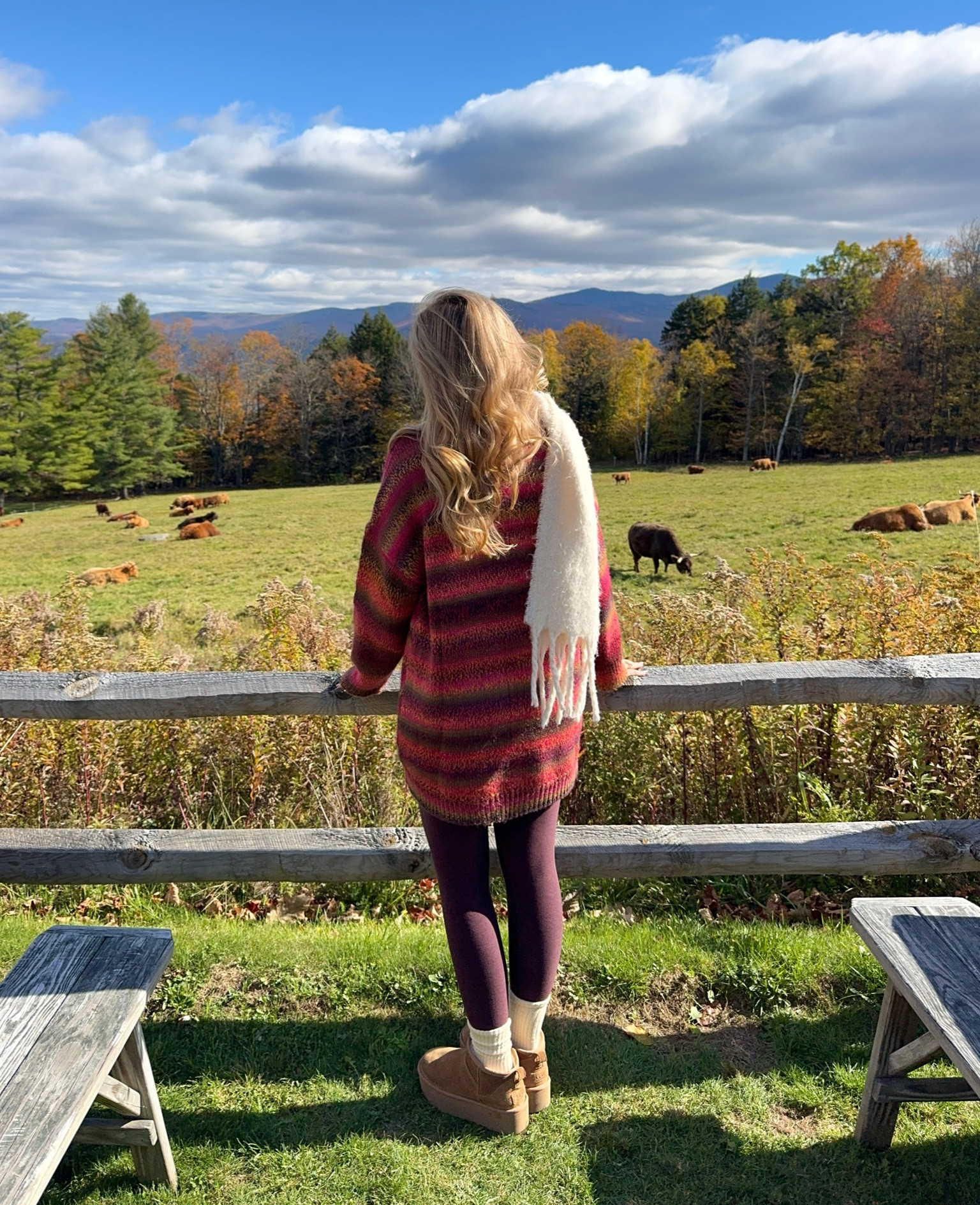 Cozy fall ootd 🧶🍂 

#LTKfindsunder100 #LTKSeasonal #LTKfindsunder50