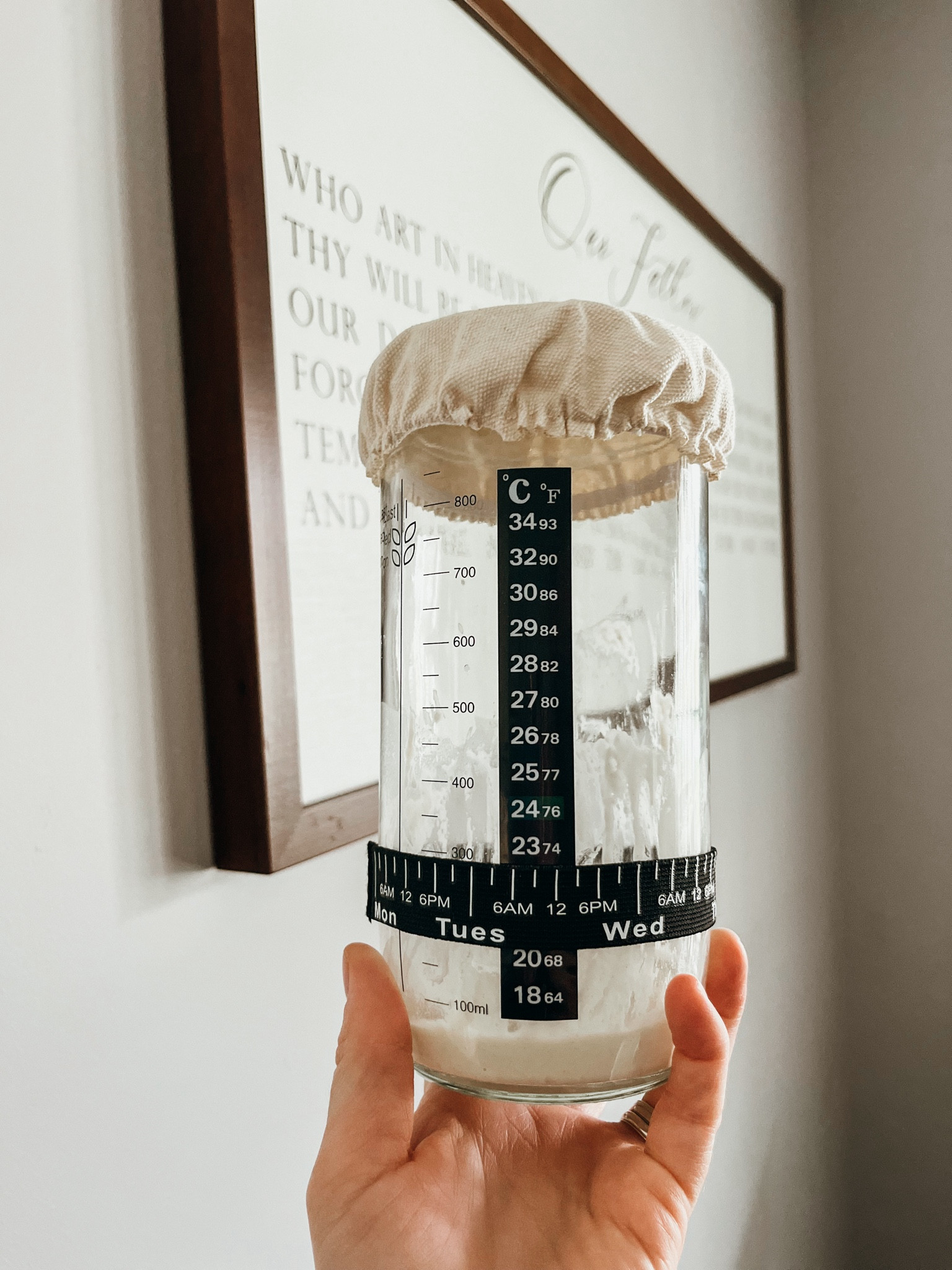 For years I just used mason jars, but recently wanted something specifically to use for my sourdough starter! This is a great deal! It’s a pack of 2! 

2 glass jars, 2 thermometers, 2 bands, 2 spatulas, 2 cloth lids, and 2 metal lids!

Less than $10! 😱

#sourdough #sourdoughstarter #amazon #amazonfinds #amazondeal

#LTKSaleAlert