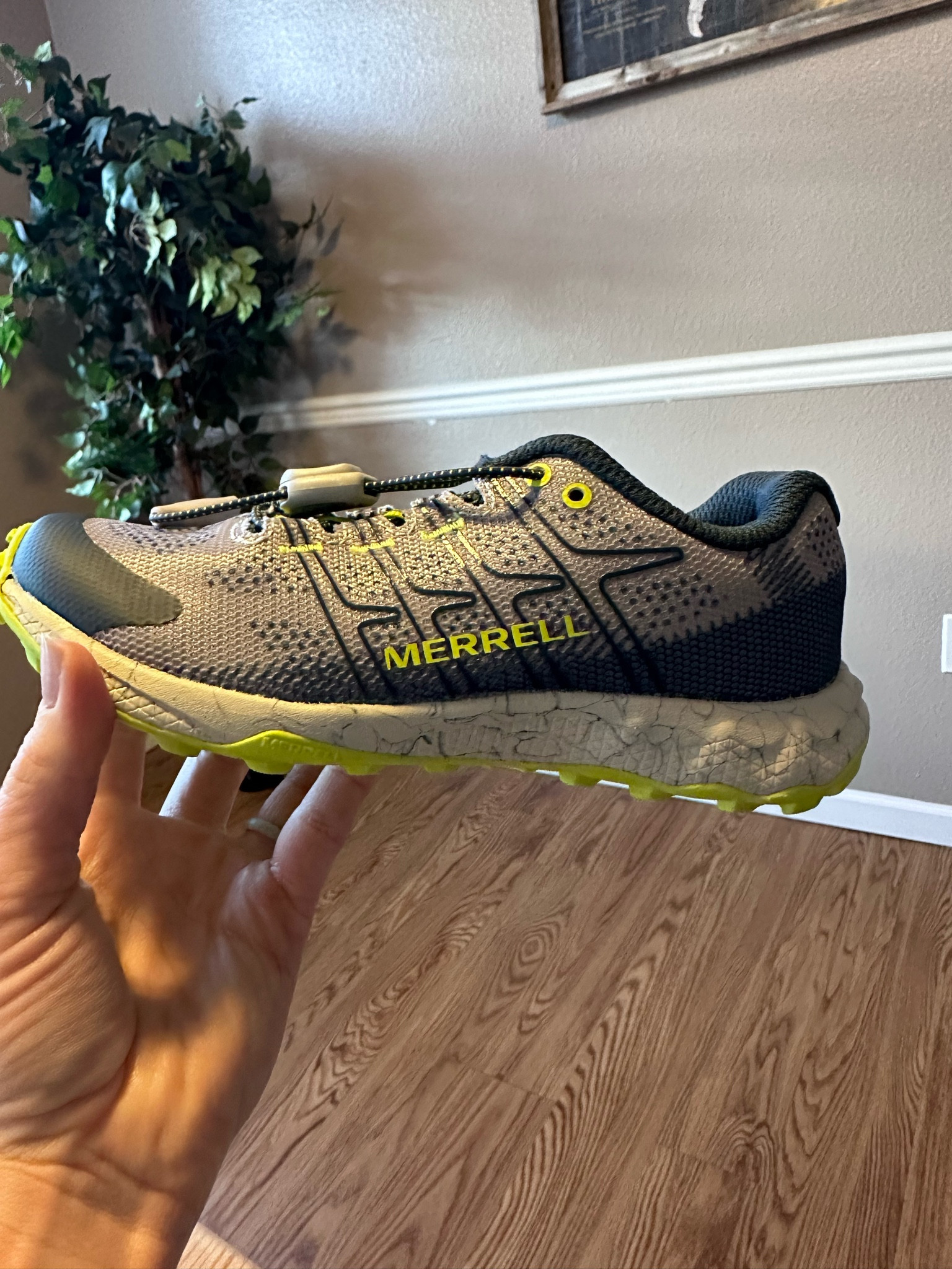 Kids hiking tennis shoes with elastic laces!! 