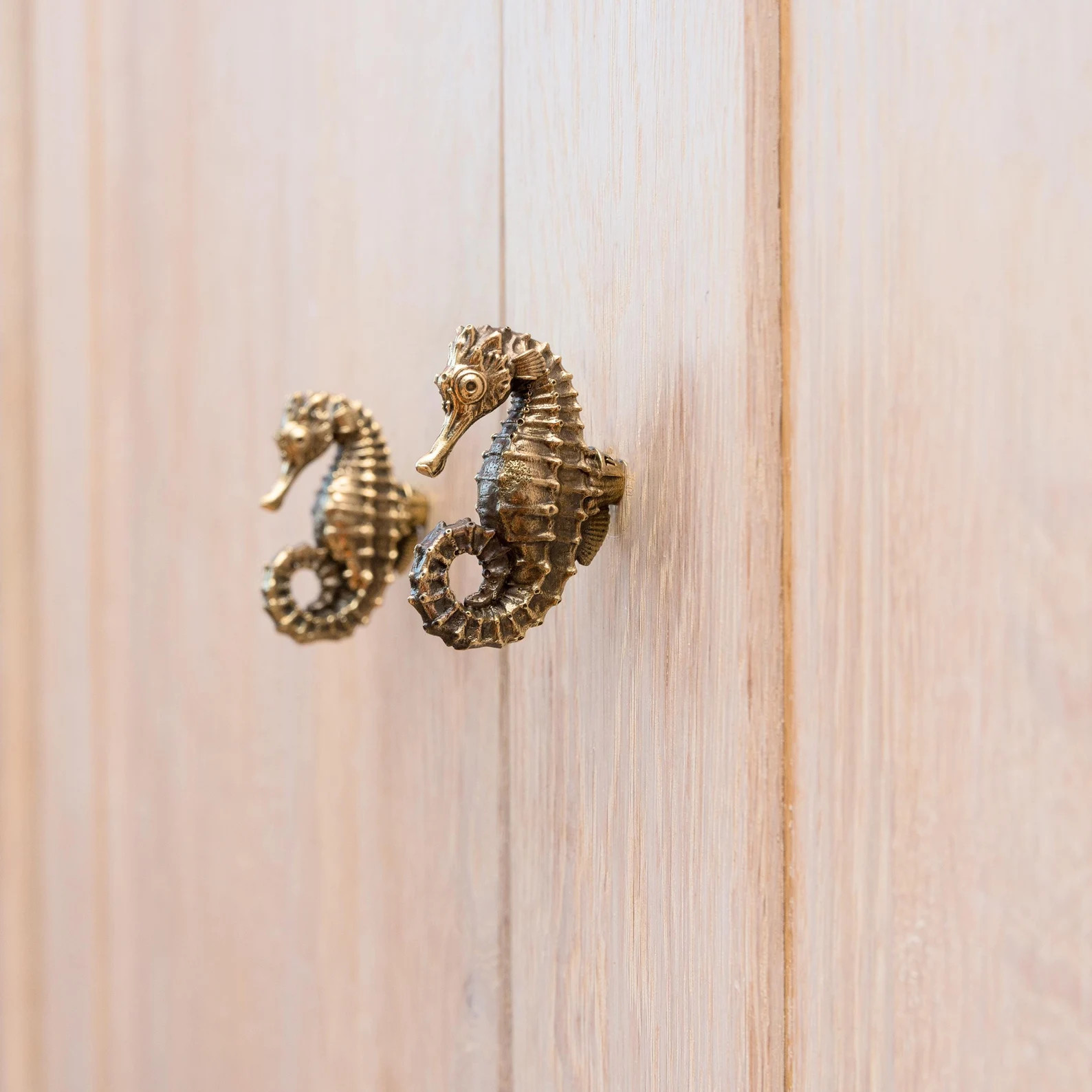 Brass Seahorse Cabinet Handle – Unique Interior Decor Hardware for Drawers, Cabinets, and Furni... | Etsy (Global)