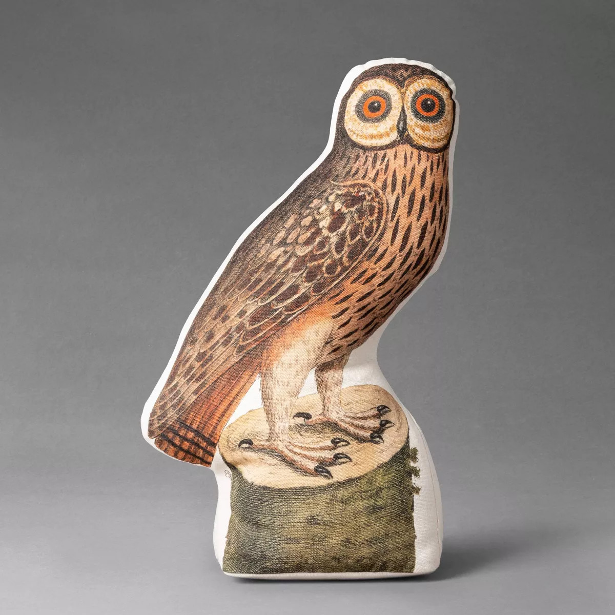 16"x8" Barn Owl Novelty Plush Pillow - John Derian For Target | Target