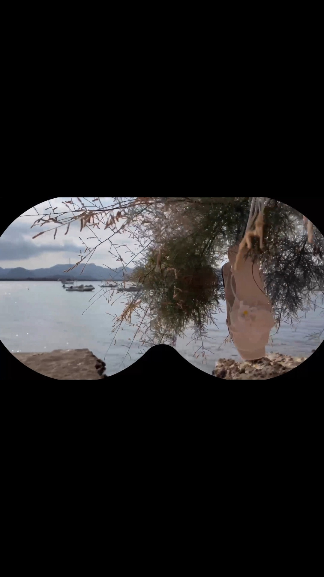 Mi verano en detalles 