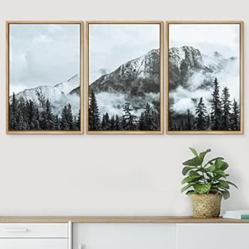 SIGNWIN Framed Canvas Print Wall Art Set Duotone Dark Mountain Pine Forest Nature Wilderness Photogr | Amazon (US)