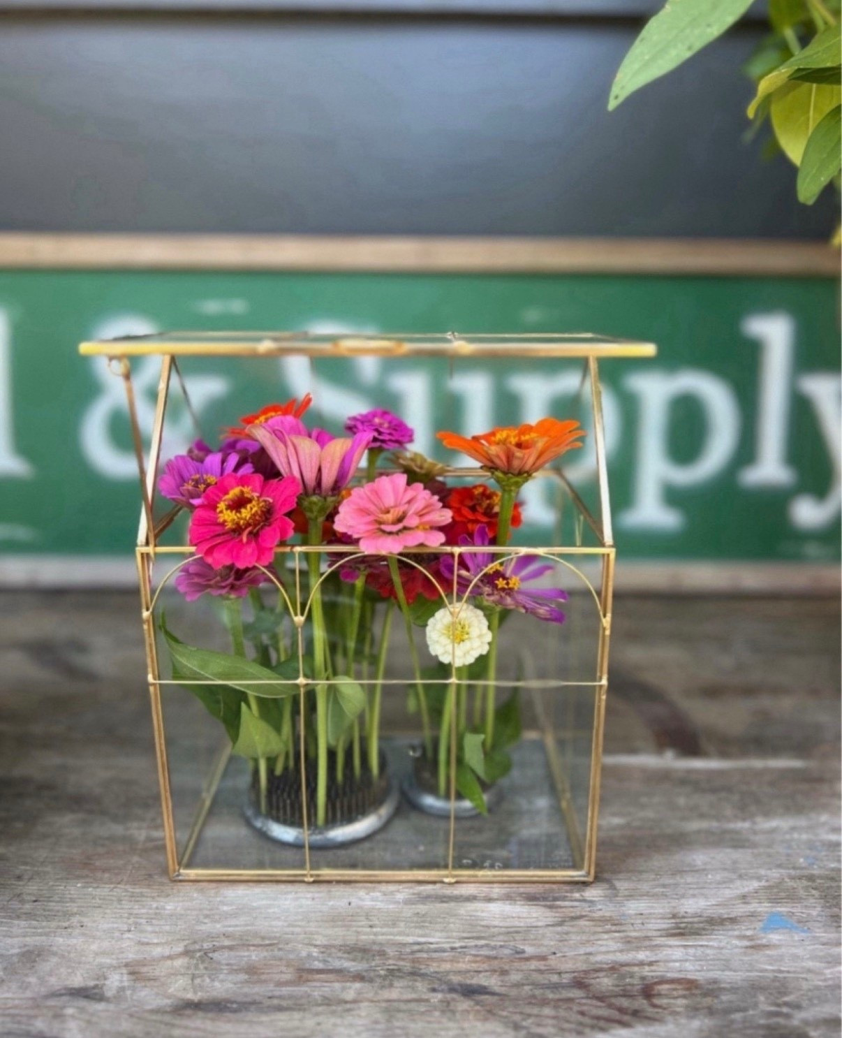 Gardeners, get ready for flower arranging season! Last year, I used this gold terrarium and fresh-cut zinnias from my garden to create the prettiest arrangement! The terrarium adds an elegant touch, and of course, I used a flower frog for that vintage charm.

While we wait for those spring blooms to arrive, this has been a favorite way to display dried flowers! It’s a simple and lovely way to enjoy a bit of the garden’s beauty all year long.



#LTKHome #LTKU #LTKSeasonal