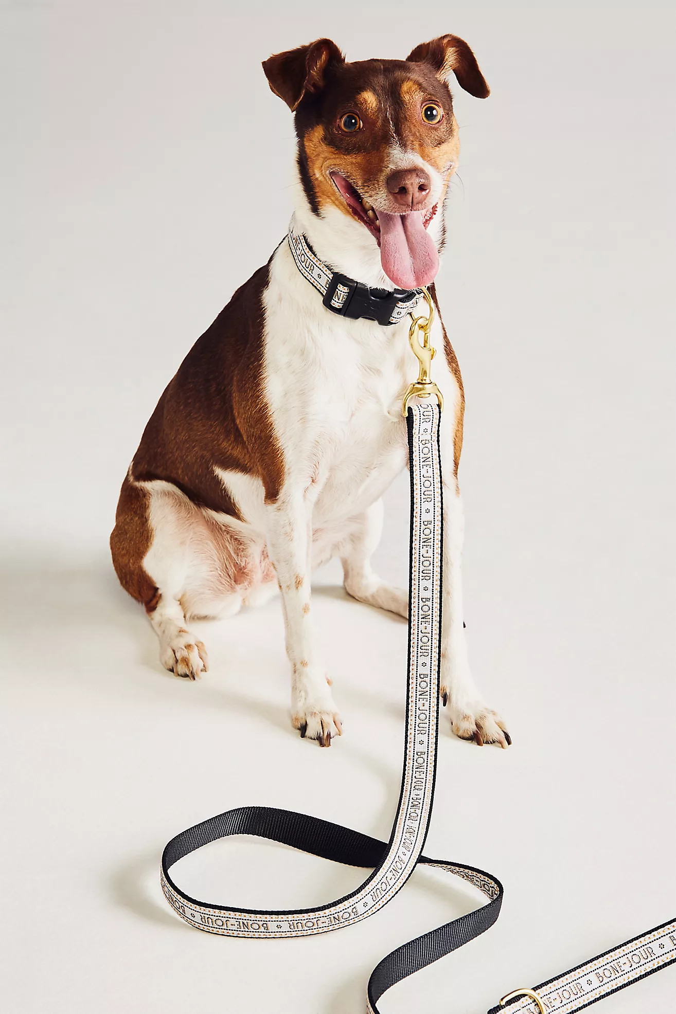 The Bistro Tile Dog Leash | Anthropologie (US)