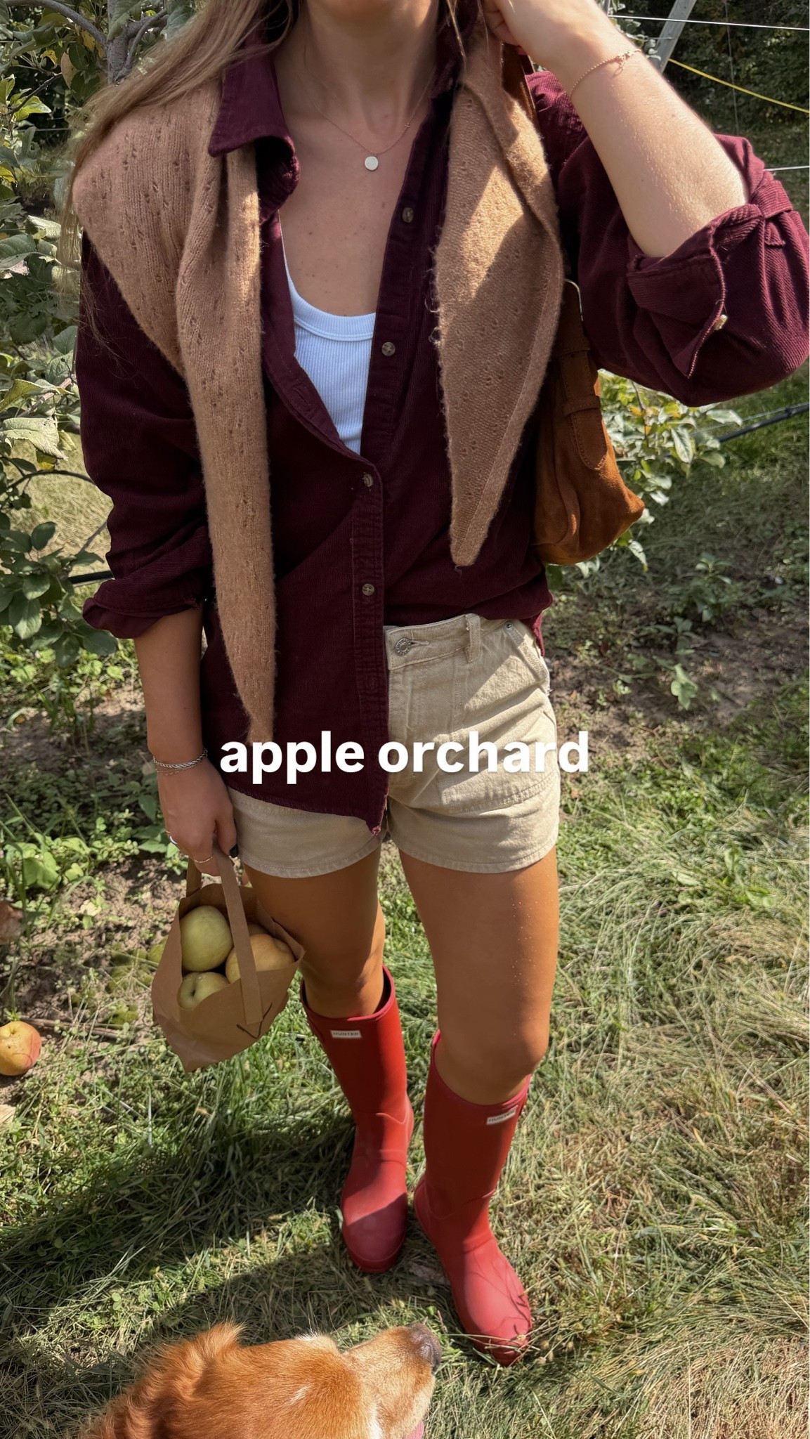 size 26 in shorts, size small in corduroy top! 

apple orchard pumpkin patch outfit