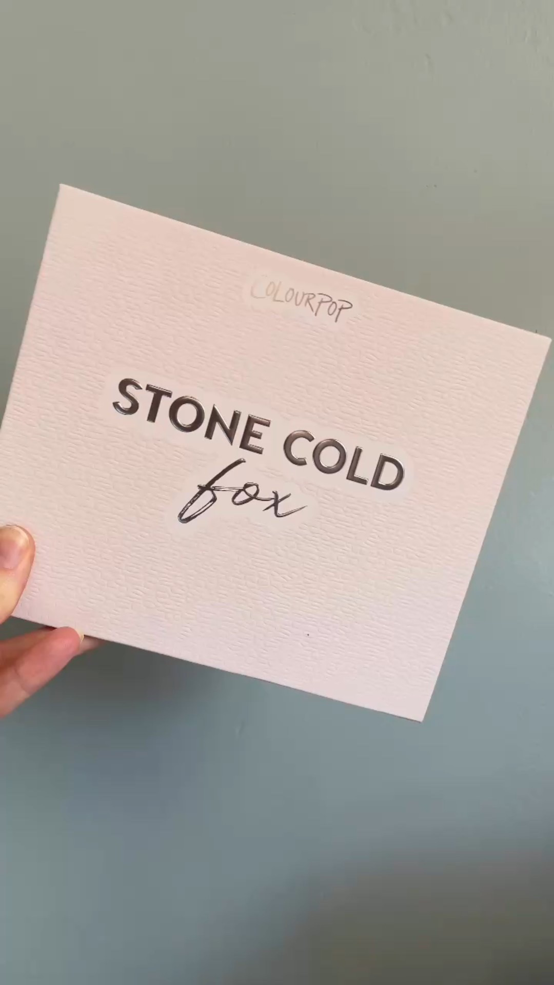 Finally diving into the stunning Stone Cold Fox eyeshadow palette from Colourpop!

What do you think of my look? 🤍

#LTKGiftGuide #LTKBeauty #LTKHoliday