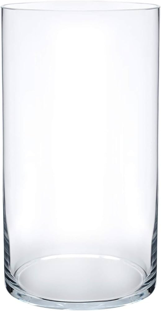 Royal Imports Flower Glass Vase Decorative Centerpiece for Home or Wedding - Cylinder Shape, 10" ... | Amazon (US)