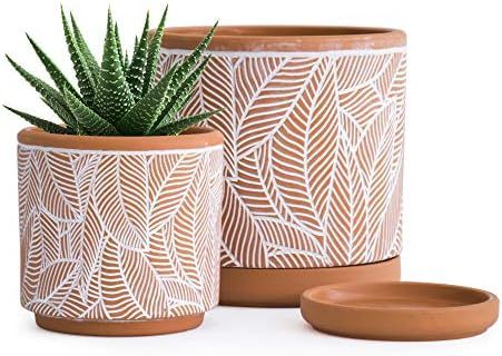 Set of 2, Leaves Pattern Planter Pot, 4.5 Inch and 6.4 Inch, Pot with Drainage Hole and Saucer, T... | Amazon (US)
