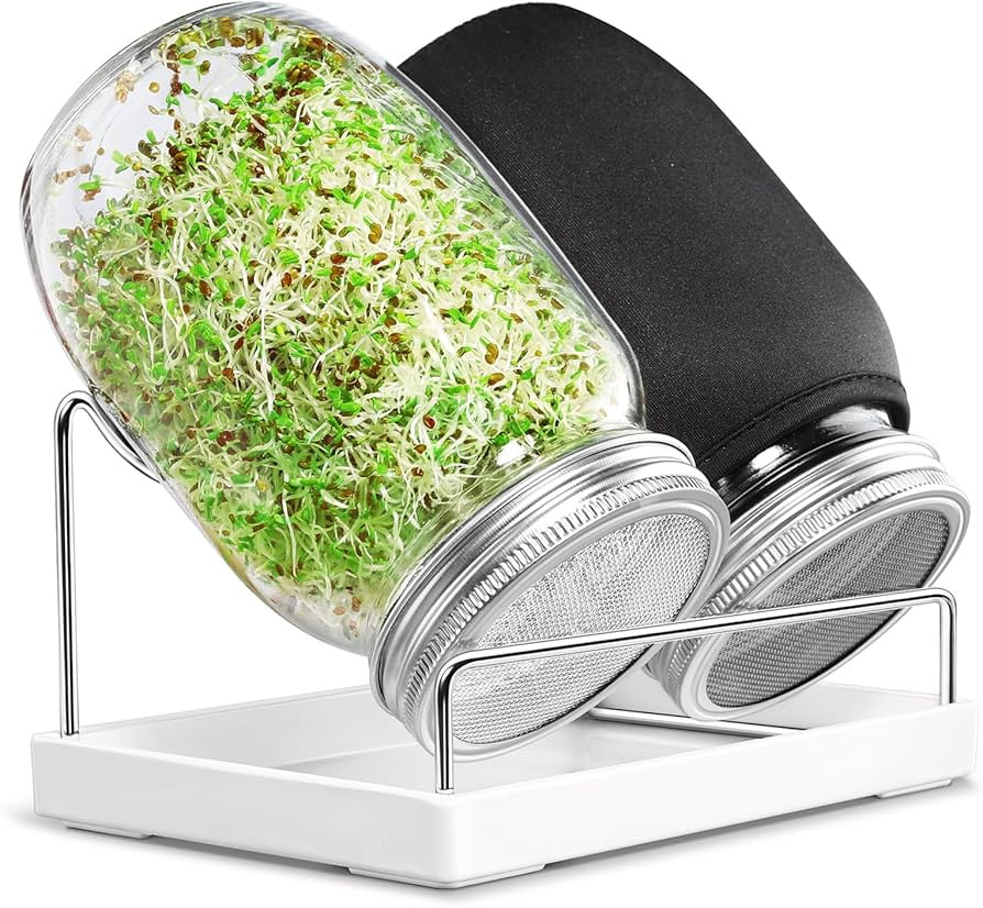 Seed Sprouting Jar Kit - 2 Wide Mouth Mason Jars with 316 Stainless Steel Sprouting Lids Covers, ... | Amazon (US)