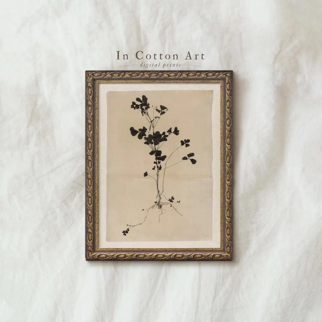 Minimalist Botanical Print, Vintage Plant Wall Art, Flower Ink Illustration, Black and Beige Herb... | Etsy (US)