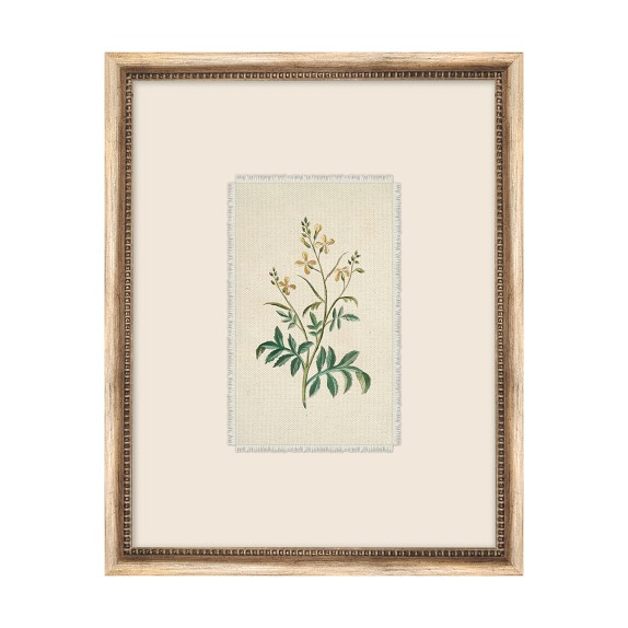 Botanist Textile | Williams-Sonoma