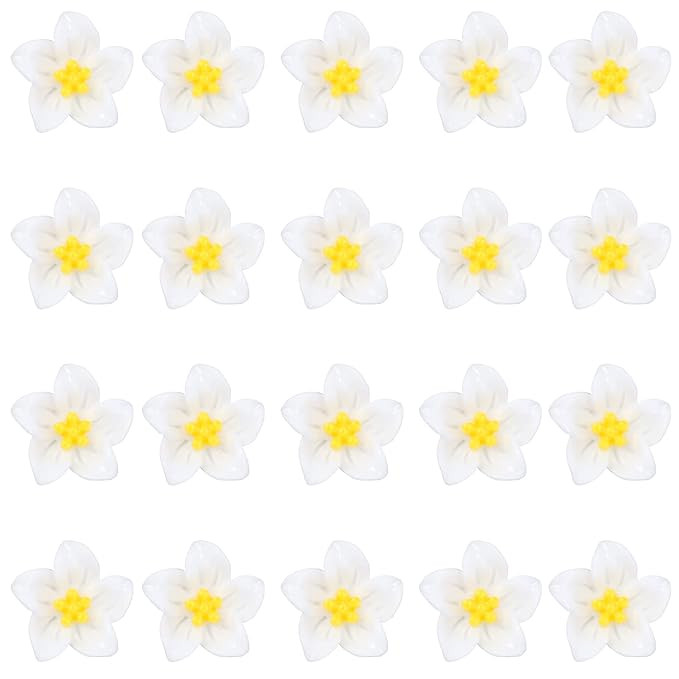 Wecoe Small White Flower Hair Accessories - 20 Pcs Lily Hair Clips, Cute Mini Decorative Clips fo... | Amazon (US)