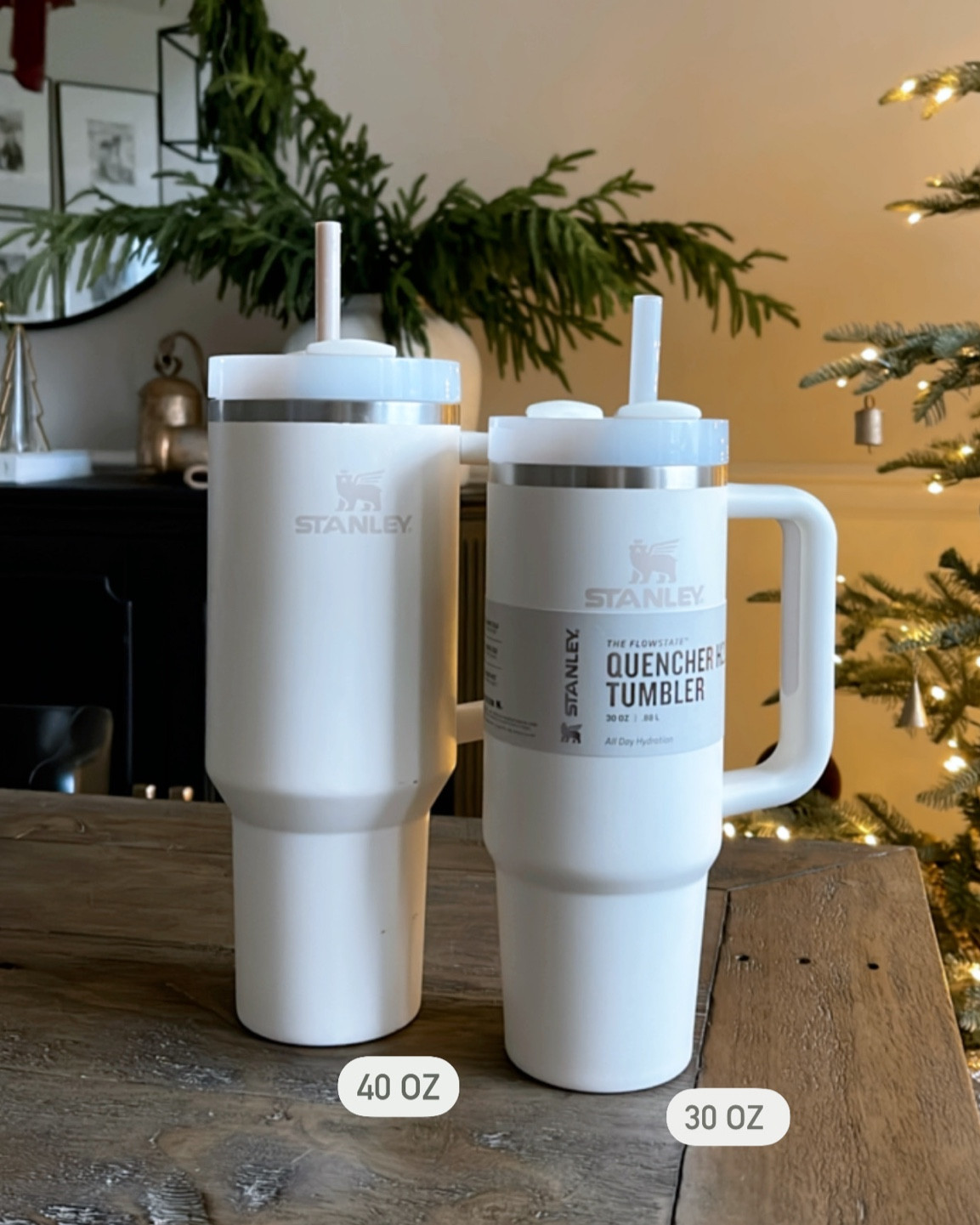 Stanley tumblers! Great gift ideas. I have the 40oz & purchased the 30oz for my elementary school daughter. I think it’s the perfect size for elementary-middle school age. Color shown here is - Frost 

Stanley | tumbler | gift idea | girls gift guide | gifts under 50 | fitness | 

#LTKfitness #LTKfindsunder50 #LTKGiftGuide